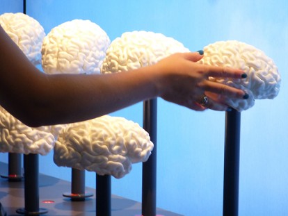 exposition cerveau à la Cité des sciences - scénographie scénorama