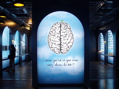 exposition cerveau à la Cité des sciences - scénographie scénorama